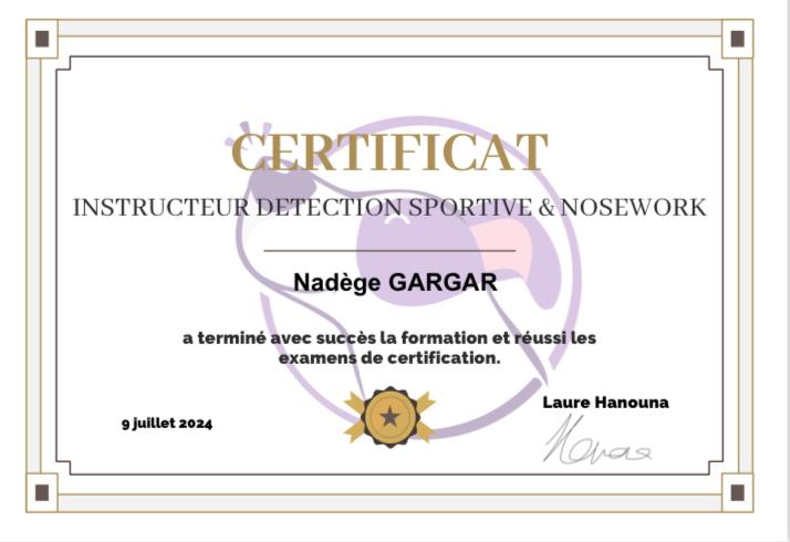 Certificat instructeur